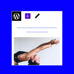  WordPress® 